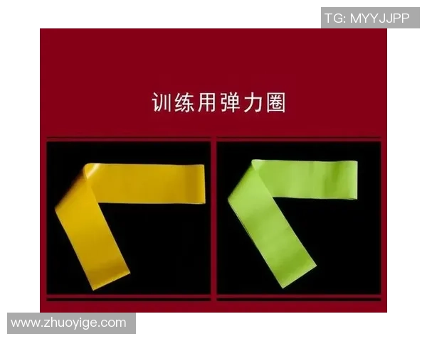 武汉羽毛球队耐力训练的深度分析与提升策略探讨