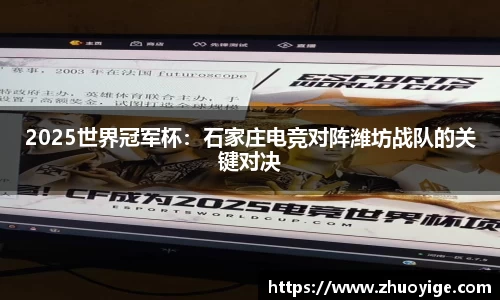 2025世界冠军杯：石家庄电竞对阵潍坊战队的关键对决
