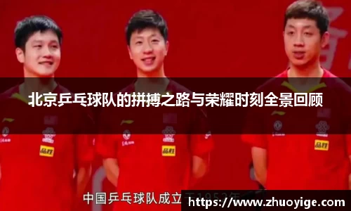 北京乒乓球队的拼搏之路与荣耀时刻全景回顾